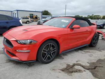  Salvage Ford Mustang