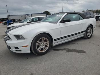  Salvage Ford Mustang