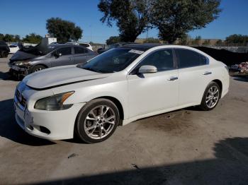  Salvage Nissan Maxima