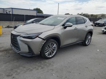  Salvage Lexus NX