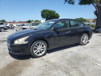  Salvage Nissan Maxima