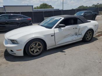  Salvage Ford Mustang