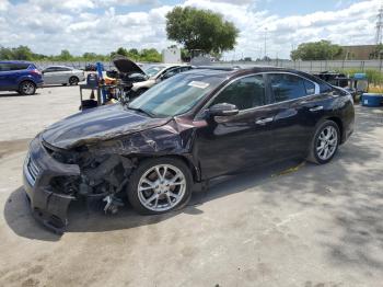  Salvage Nissan Maxima