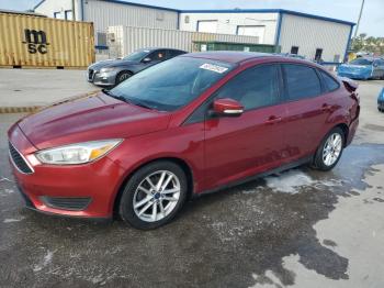  Salvage Ford Focus
