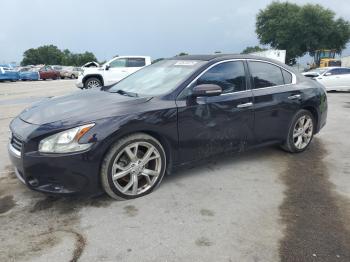  Salvage Nissan Maxima