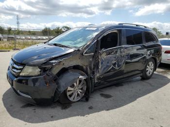  Salvage Honda Odyssey