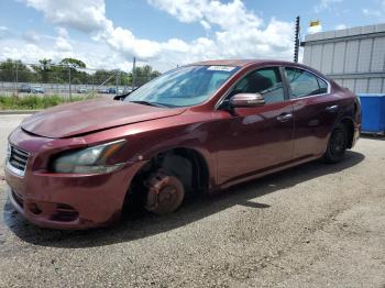  Salvage Nissan Maxima