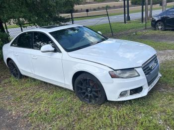  Salvage Audi A4