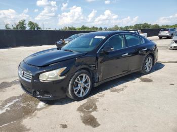  Salvage Nissan Maxima