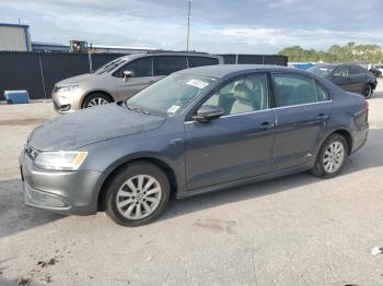  Salvage Volk Jetta