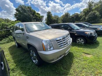  Salvage Cadillac Escalade