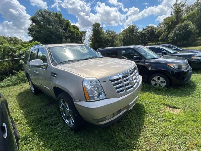  Salvage Cadillac Escalade