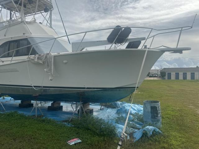  Salvage Jersey Yachts Other