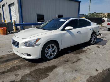  Salvage Nissan Maxima