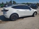 Tesla Model Y Image 4