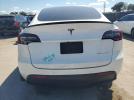 Tesla Model Y Image 5
