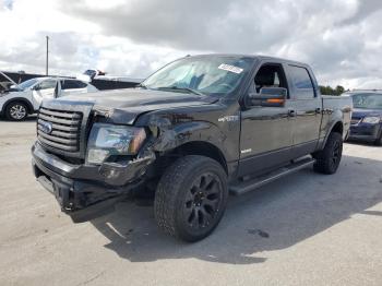  Salvage Ford F-150