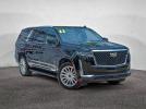 Cadillac Escalade Esv Luxury Image 1