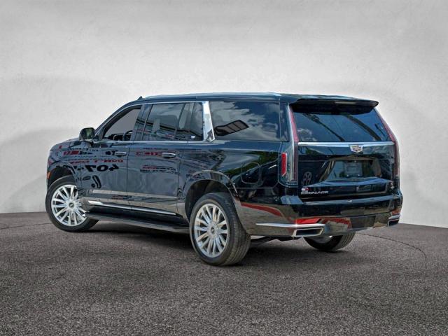 Cadillac Escalade Esv Luxury Image 10