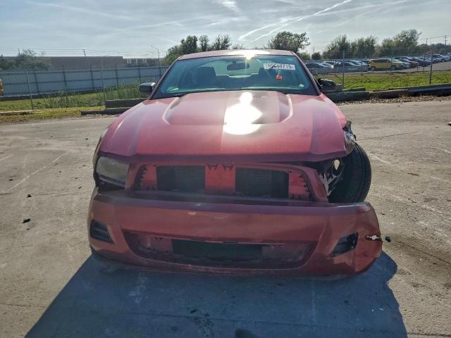 Ford Mustang Image 6