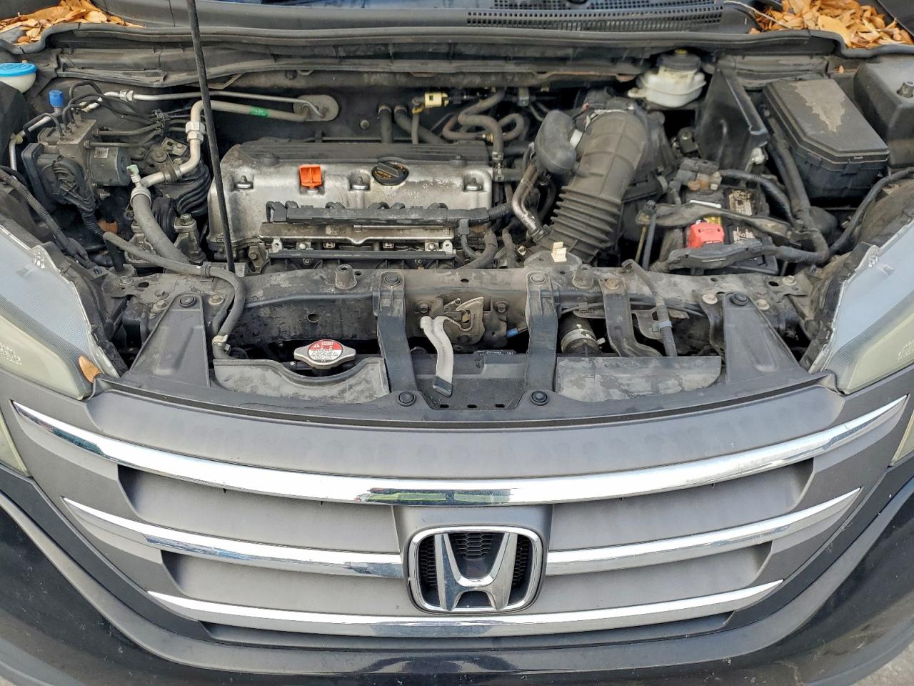 Honda Crv Lx Image 13