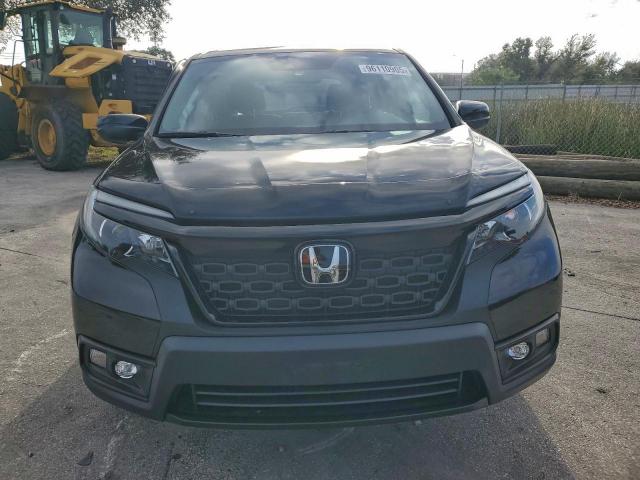 Honda Passport Sport Image 6