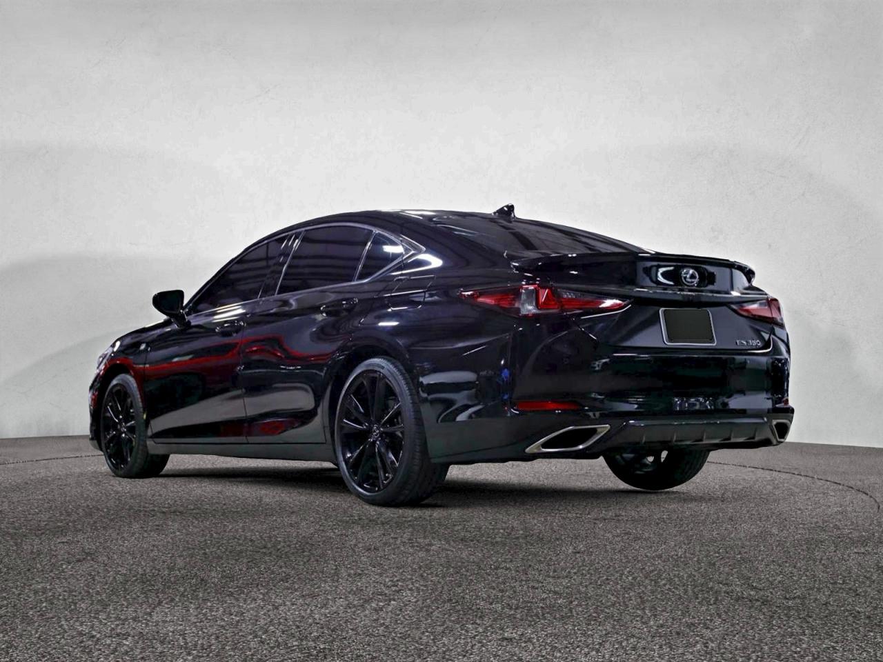 Lexus Es 350 F Sport Handling Image 2