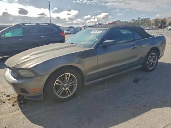  Salvage Ford Mustang