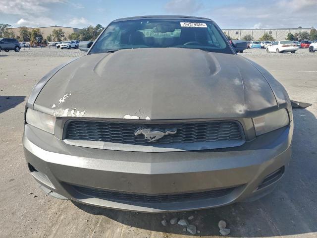 Ford Mustang Image 3