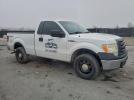 Ford F-150 Image 2