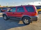 Ford Escape Xlt Image 4