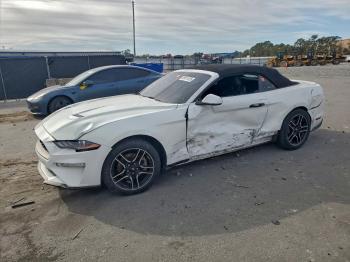  Salvage Ford Mustang