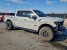 Ford F-150 Raptor Image 5