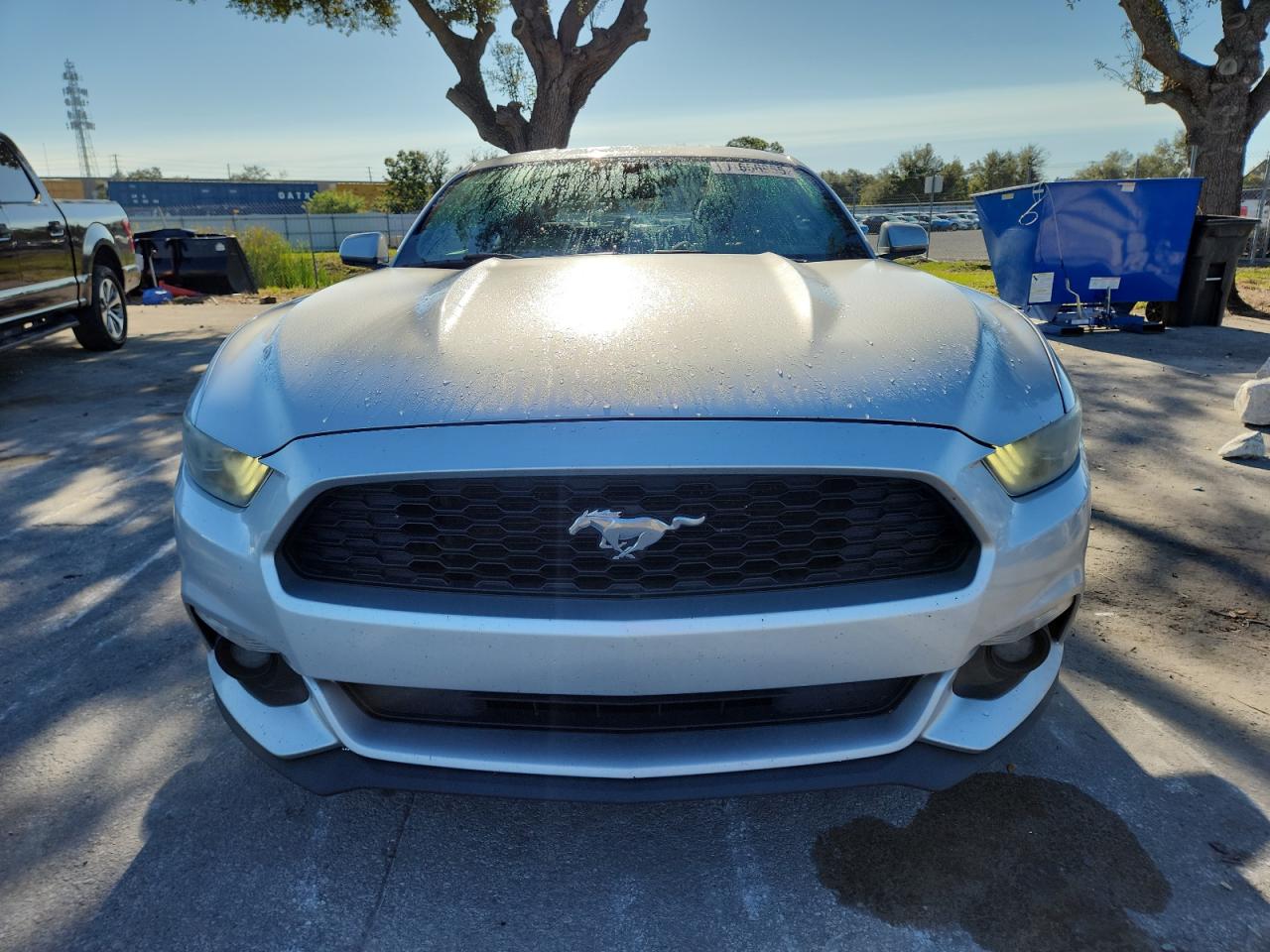 Ford Mustang Image 5