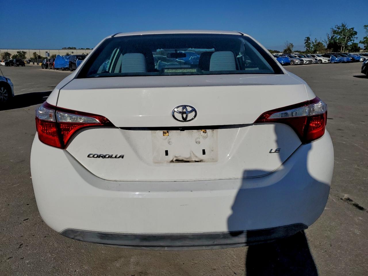 Toyota Corolla L Image 6